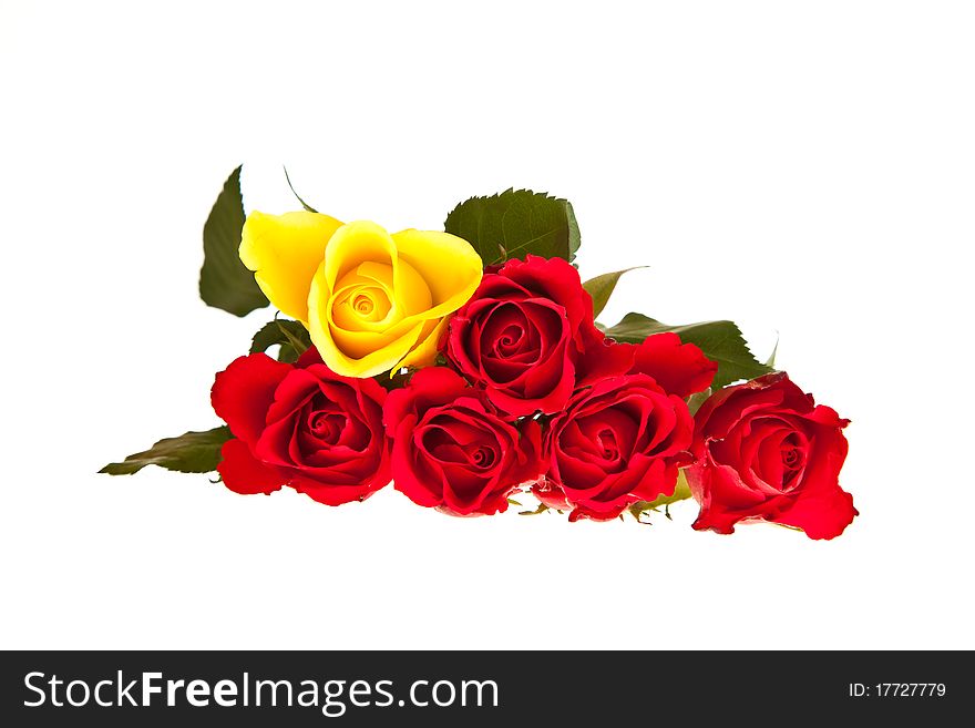 Valentine's day red roses isolated on white