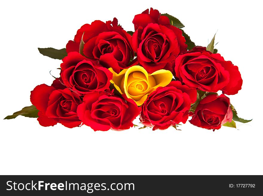 Valentine's day red roses isolated on white