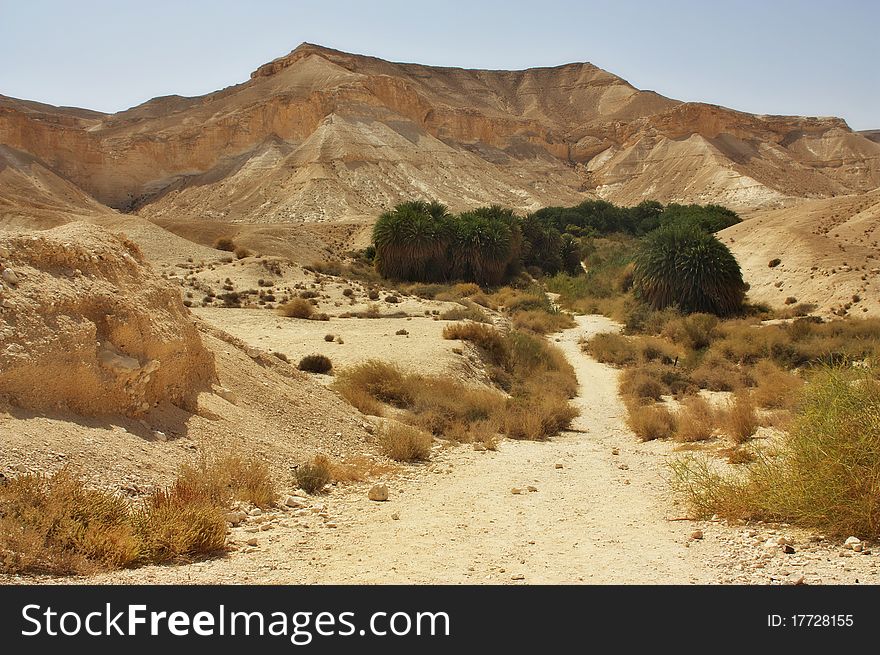 View of a desert trail in the Negev desert, Israel