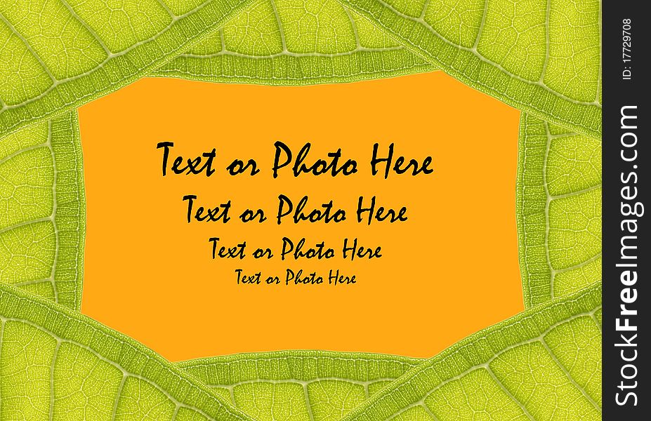 Natural leaf frame with space for text on orange. Natural leaf frame with space for text on orange
