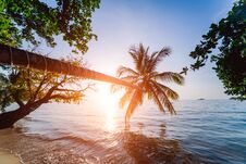 Beautiful Sunset At The Beach In The Tropics. Sky And Ocean Stock Images