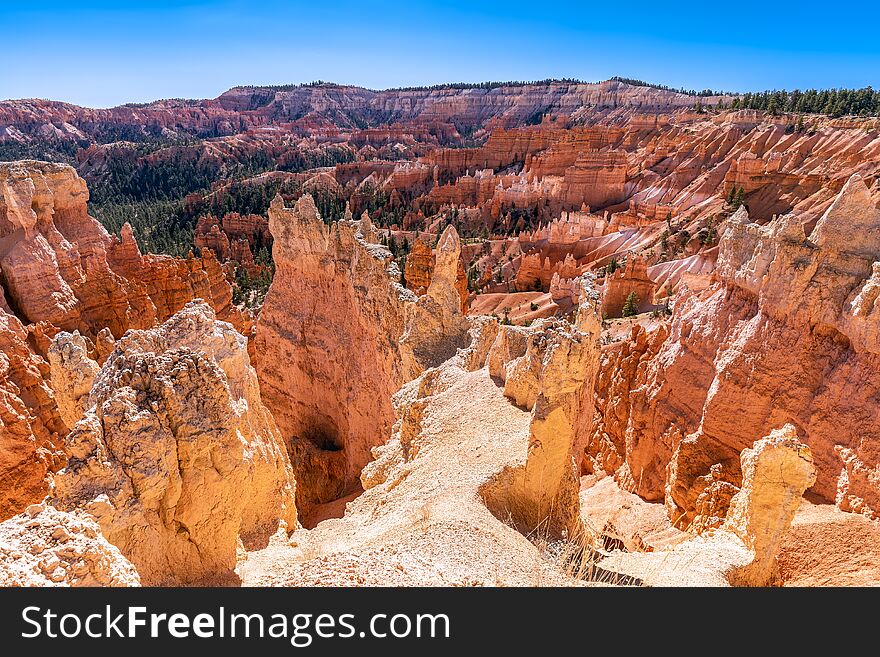 Panoramic View Of Amazing Hoodoos Sandstone Formations In Scenic Bryce Canyon National Parkon On A Sunny Day.