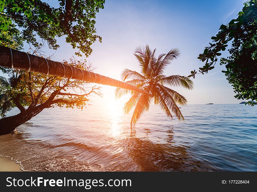Beautiful sunset at the beach in the tropics. Sky and ocean. Background