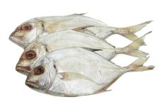 Fresh Fish Stock Photography Fresh Fish Stock Photography