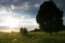 Lonely Tree In The Meadow Stock Photo Lonely Tree In The Meadow Stock Photo