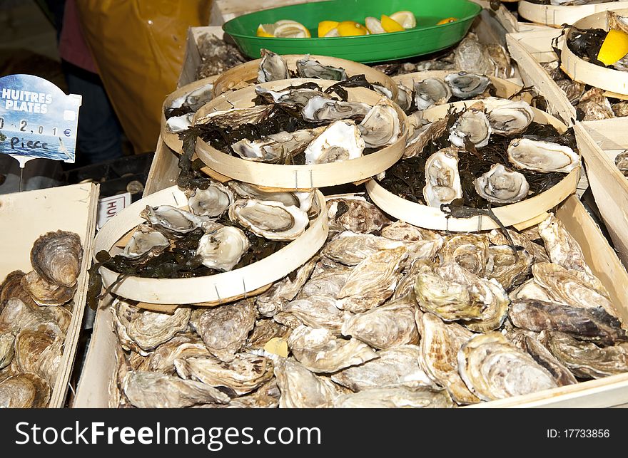 Oysters on display at French Market