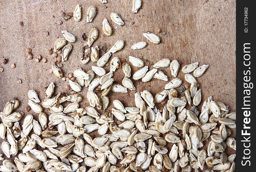 Seed for planting untidy on wood background