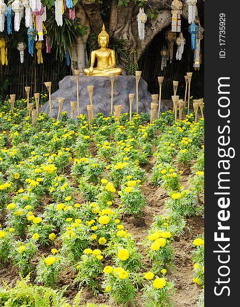 Meditation Buddha Statue In Garden