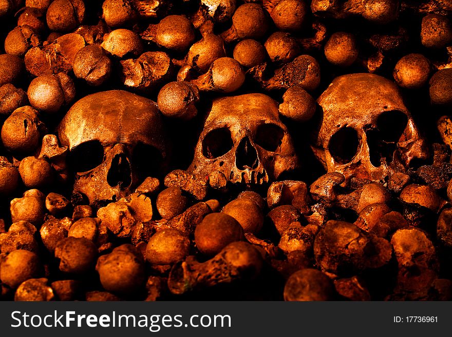 Human Skulls And Other Bones