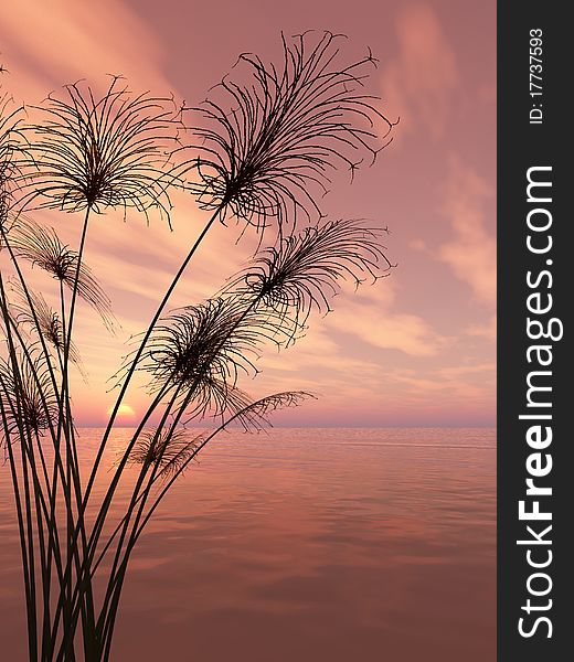 Dead tree at sunset beach