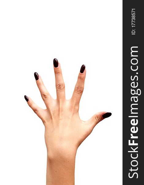 Back left hand fife fingers isolated on white