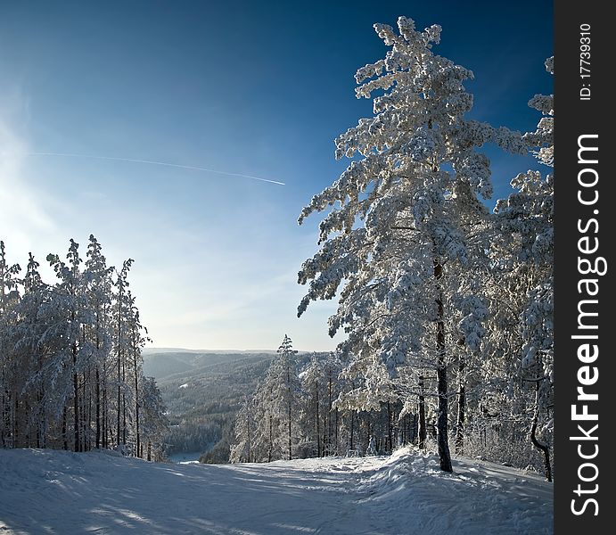 Winter mountain landscape. Snow-covered spruce and blue sunny skies.