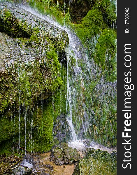 Little Falls, cold waters that flow over the rocks covered with green moss