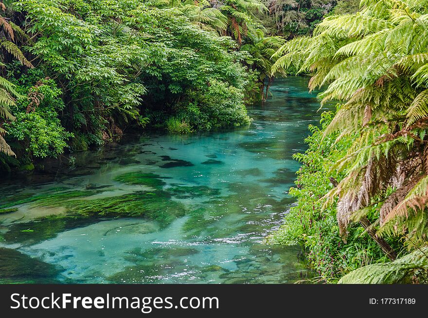 Blue Spring which is located at Te Waihou Walkway,Hamilton New Zealand. It internationally acclaimed supplies around 70% of New Zealand`s bottled water because of the pure water