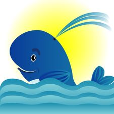 Whale In Turn Blue Sea Stock Photo