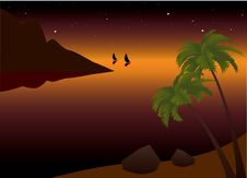 Tropical Palm Beach Near The Ocean At Sunset Stock Photo Tropical Palm Beach Near The Ocean At Sunset Stock Photo