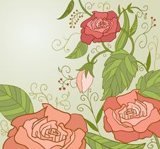 Sweet Pink Roses Inretro Style With Green Leaf Stock Image Sweet Pink Roses Inretro Style With Green Leaf Stock Image