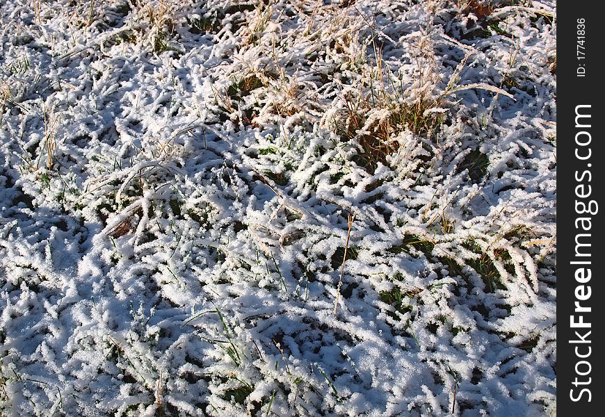 Texture of grass with snow and ice