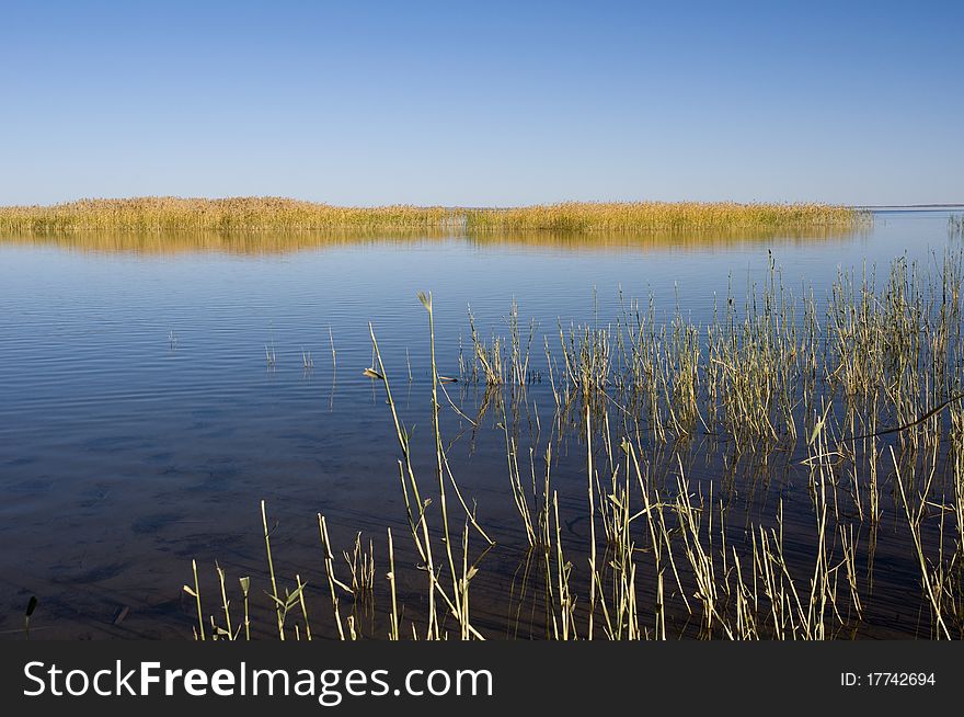 Quiet autumn lake