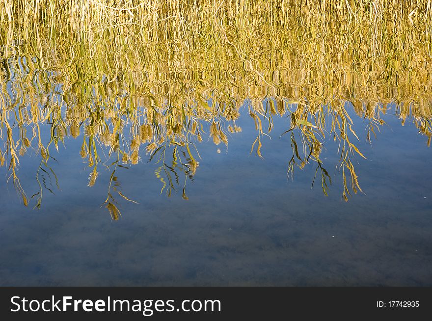 Inner Mongolia, quiet autumn lake.