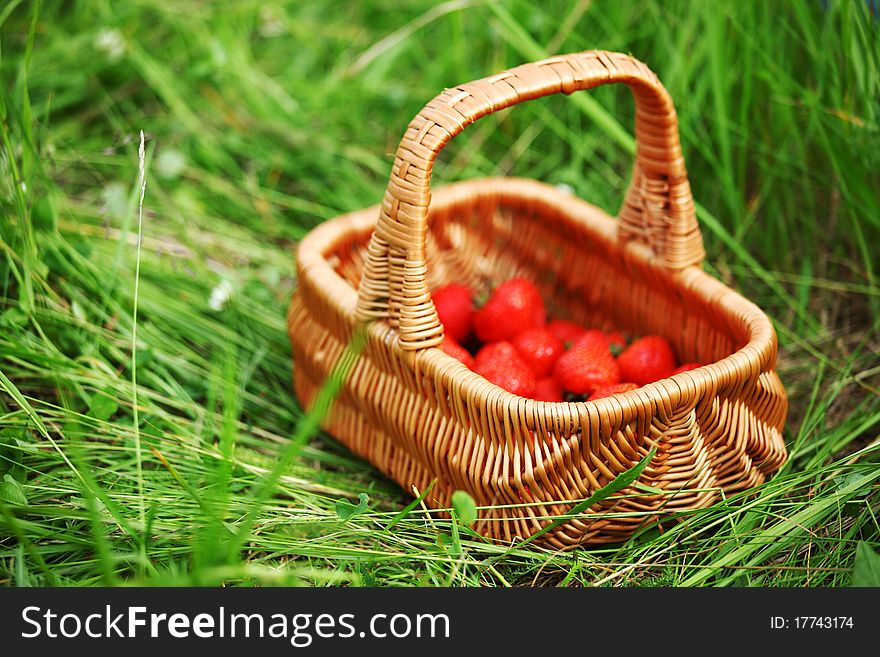 Sweet strawberry in woman hands