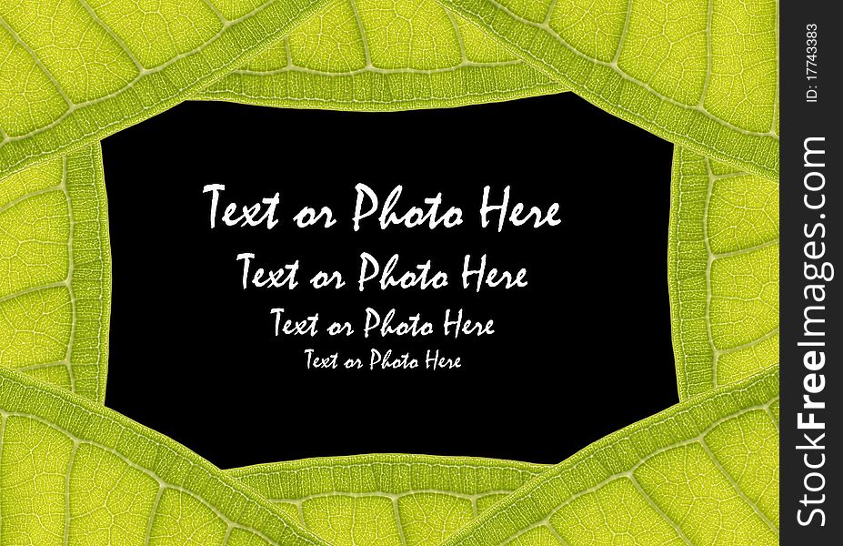 Natural leaf frame with space for text on black