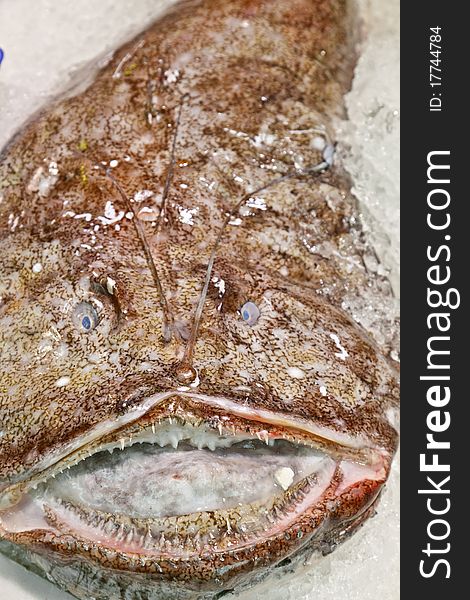 Fresh fish on ice for selling at the market in madrid