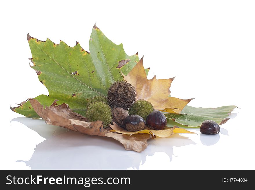 Autumn leaves, nuts and chestnuts. Autumn leaves, nuts and chestnuts