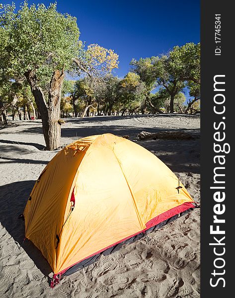 Campsite with Tent in Inner Mongolia, China