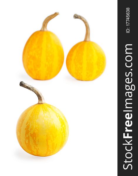 Three small decorative pumpkin on white background