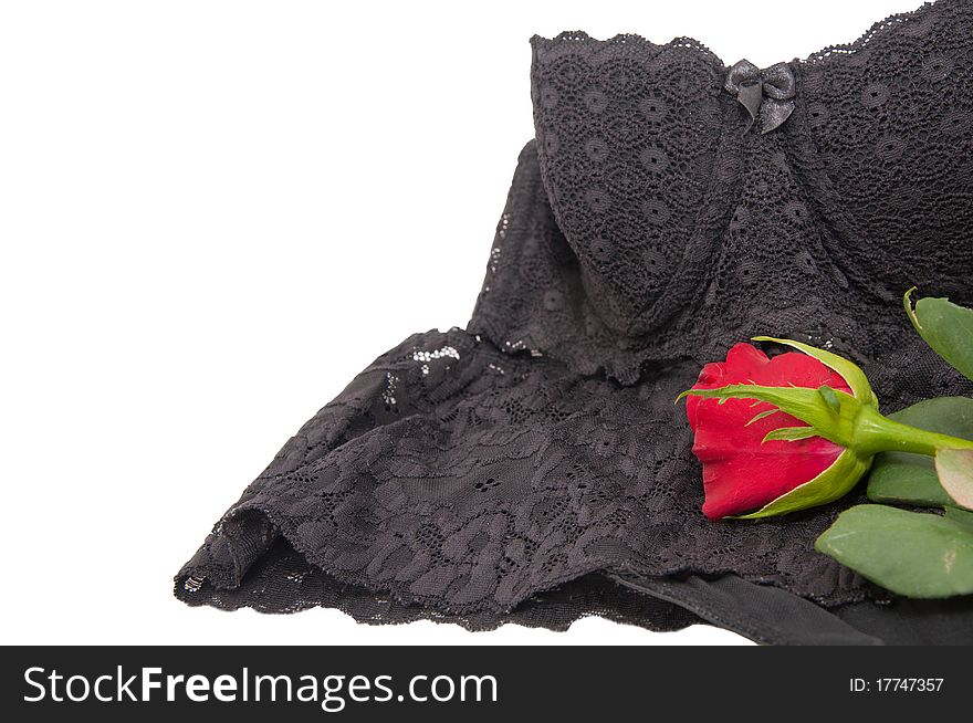 Female Underwear With Red Roses