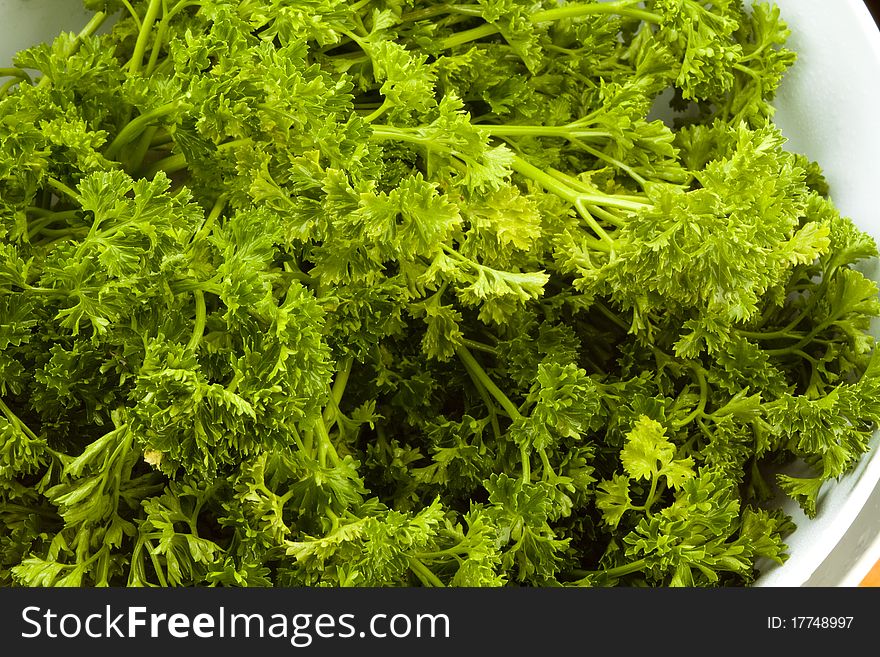 A bunch of fresh leaf garden parsley in a white kitchen bowl. A bunch of fresh leaf garden parsley in a white kitchen bowl