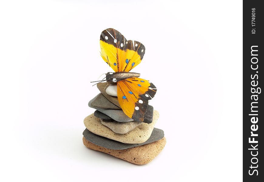 Yellow butterfly on stones on white