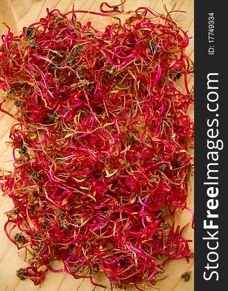 Garden fresh red organic beetroot germinated sprouts on a wooden surface