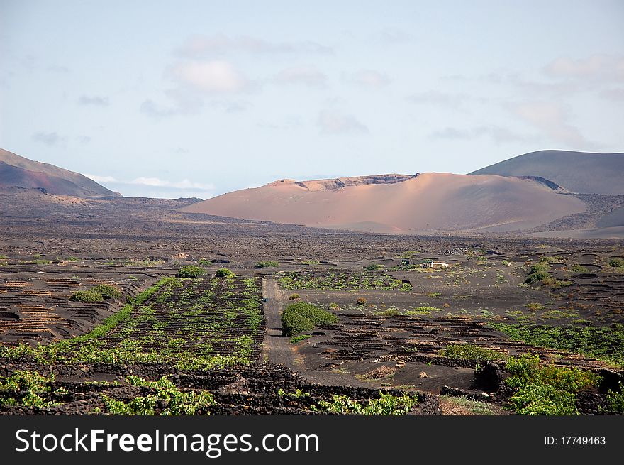 Volcano in Lanzarote at the canary islands in Spain, Europe