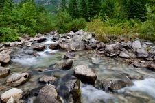 Mountain Stream Royalty Free Stock Image