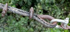 On Tow Royalty Free Stock Photography On Tow Royalty Free Stock Photography