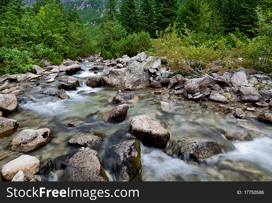 Peaceful mountain stream flows through lush forest