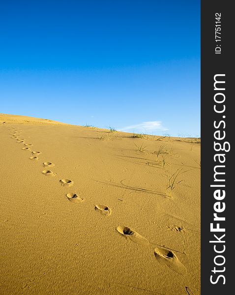 Footprints On The Desert