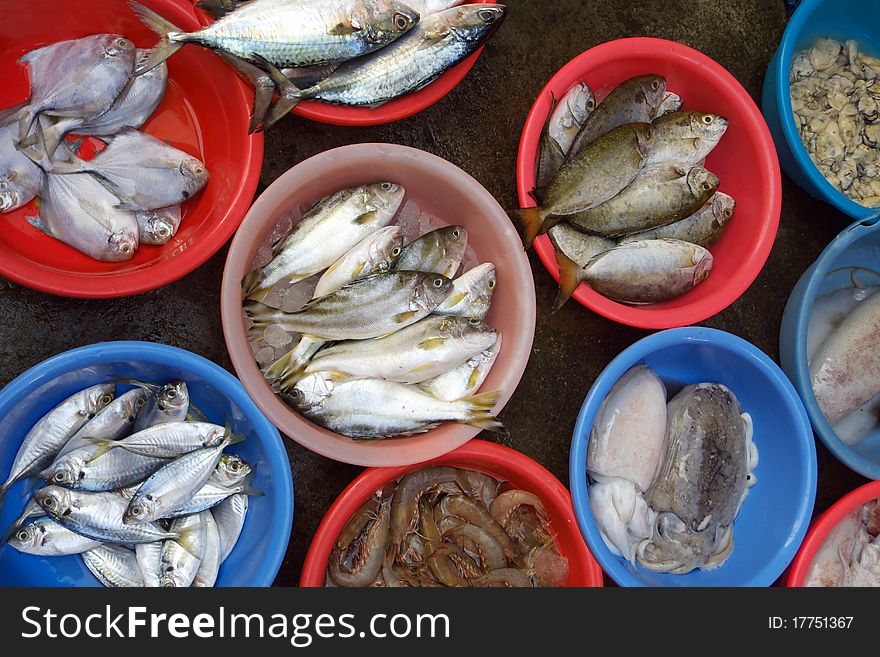 Different kind of fish selling in market