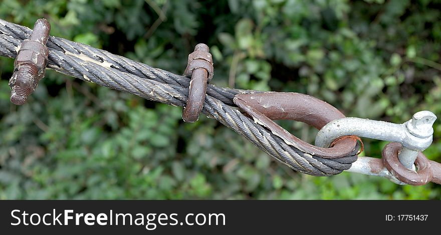 Cable link high up in the trees with foilage as backdrop. Cable link high up in the trees with foilage as backdrop