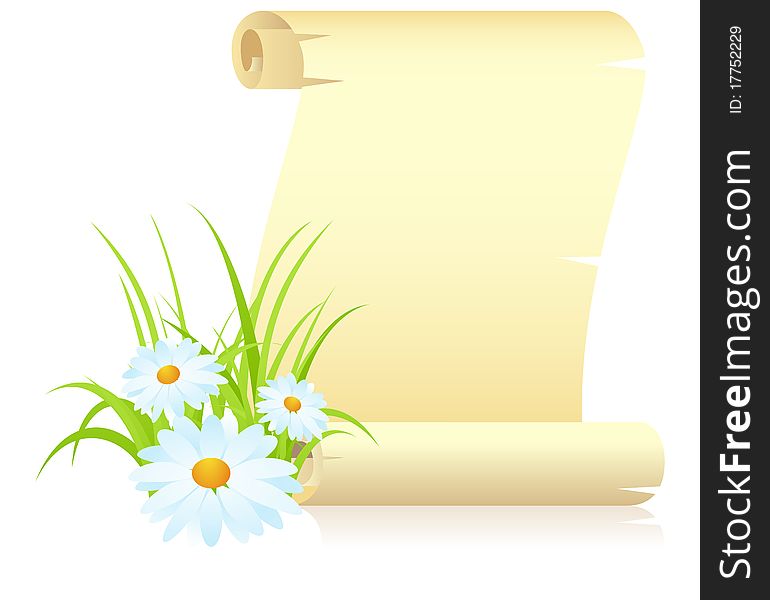 Manuscript with camomiles and grass. Vector illustration, isolated on a white. Manuscript with camomiles and grass. Vector illustration, isolated on a white.