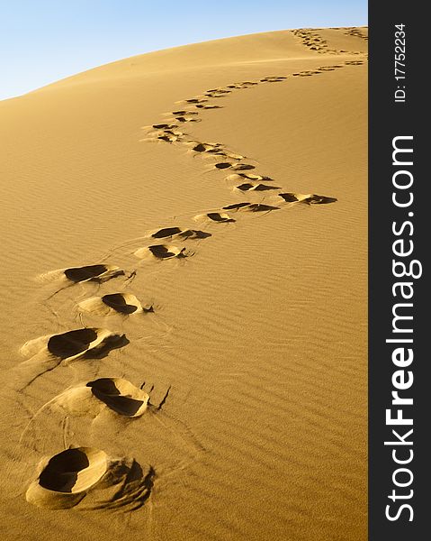 Footprints On The Desert