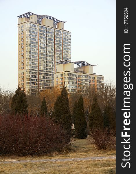 The residential buildings and winter trees