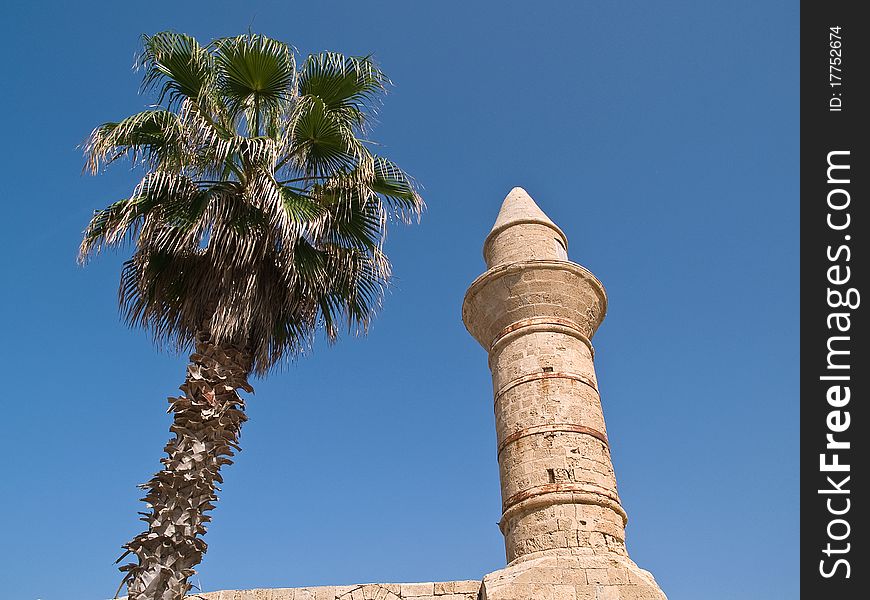 Oriental Muslim Mosque tower with palm trees horizontal image