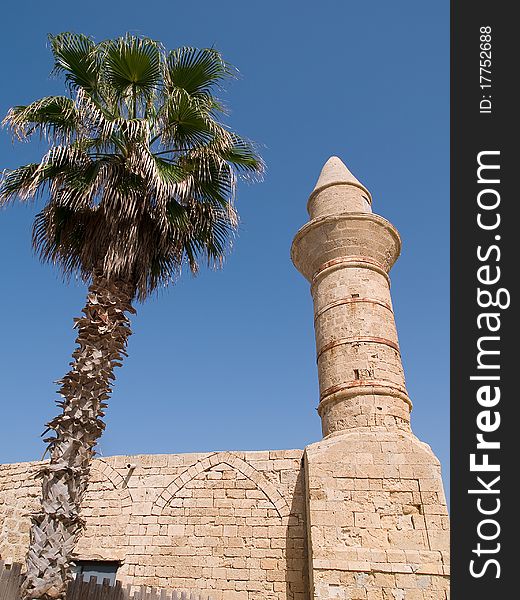 Oriental Muslim Mosque tower with palm trees horizontal image