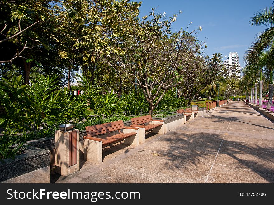 Wooden Bench In The Park.