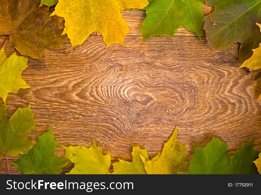 A frame from marple leaves over wooden desk. A frame from marple leaves over wooden desk