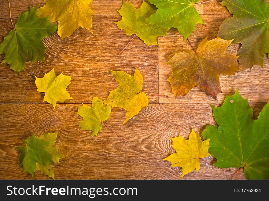 Marple leaves on wooden texture