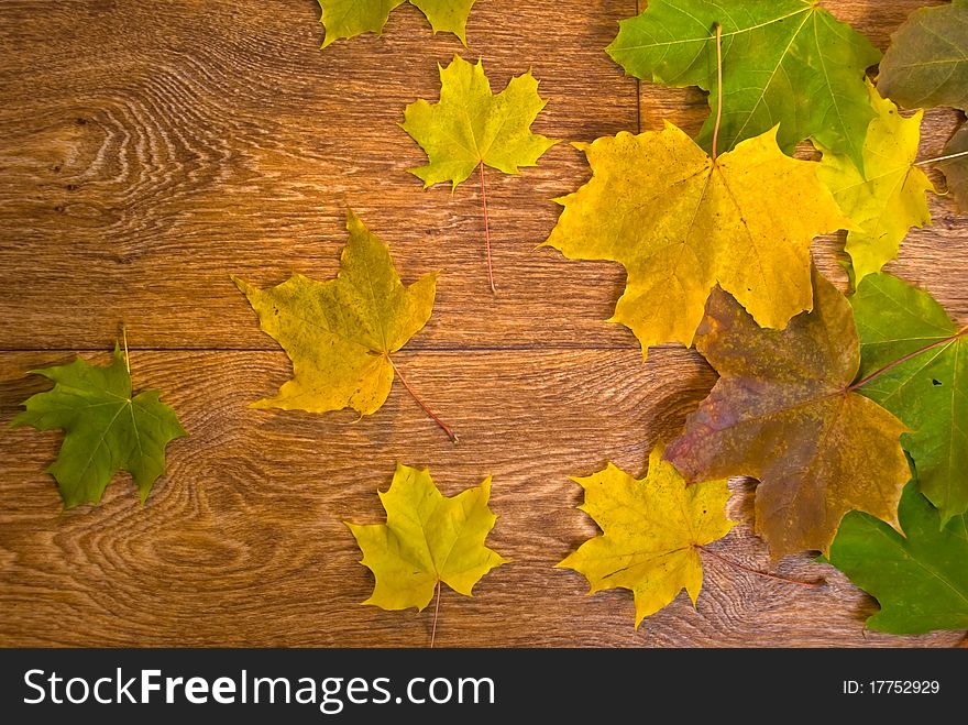 A background from marple leaves over wooden desk. A background from marple leaves over wooden desk